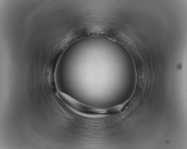 X0000097920708200803141441