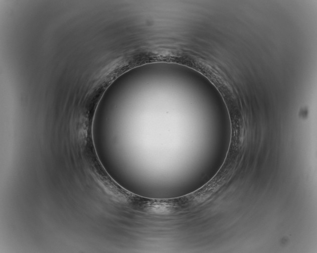 X0000097920710200803141441