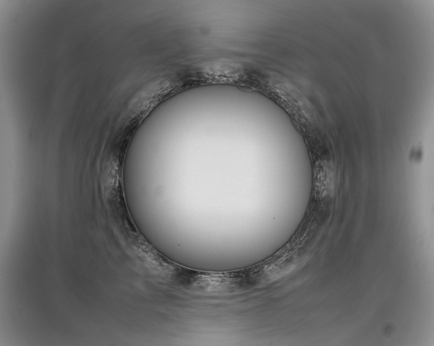 X0000097920713200803141441