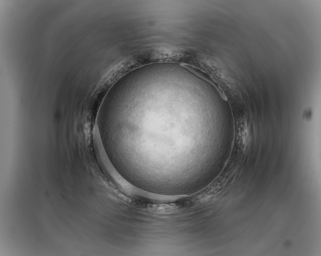 X0000097920716200803141441