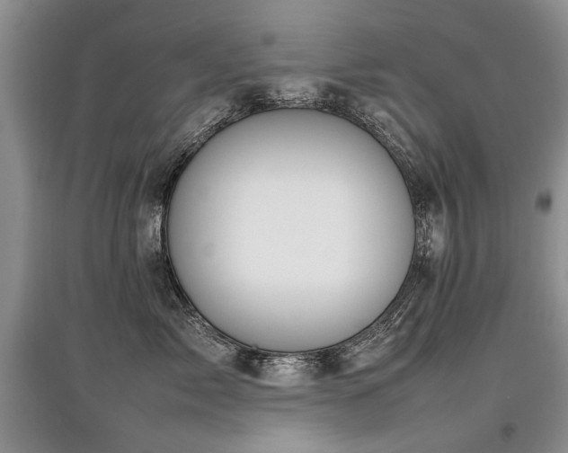 X0000097920717200803141441