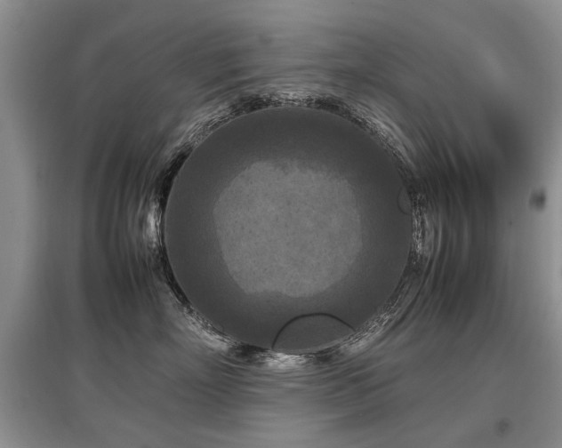 X0000097920718200803141441