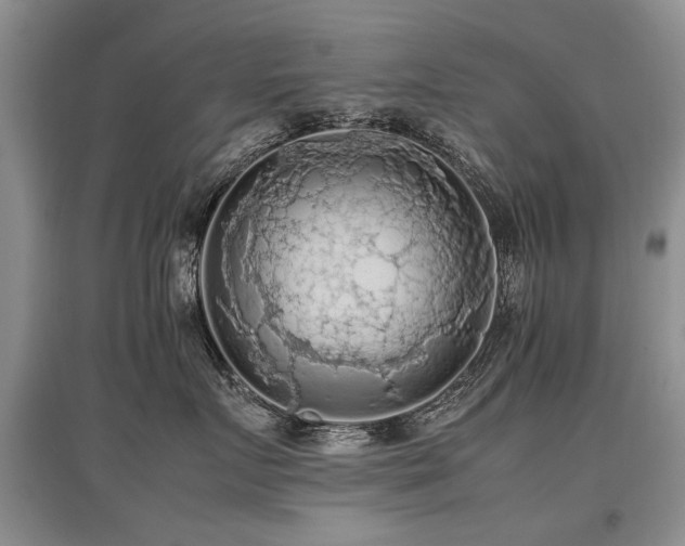 X0000097920719200803141441