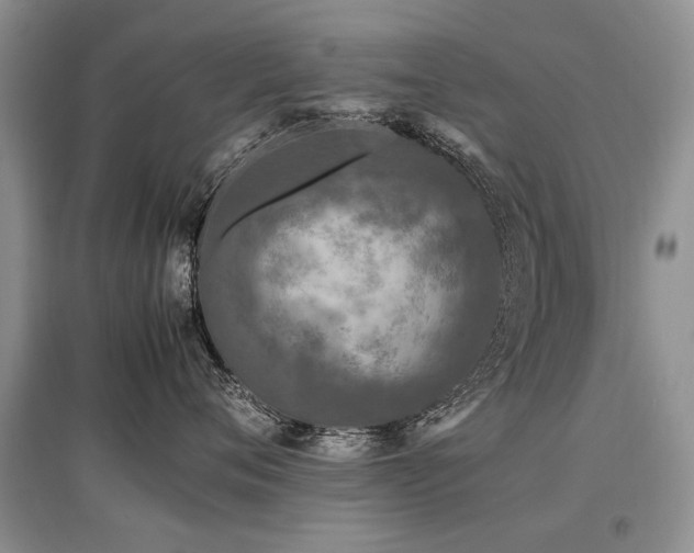 X0000097920720200803141441