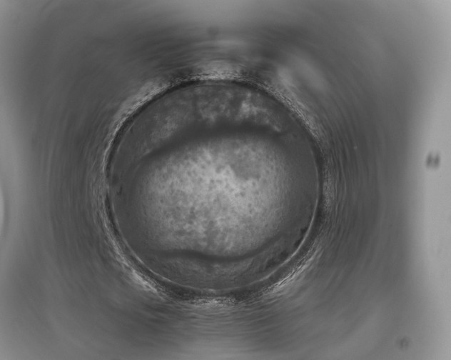 X0000097920721200803141440