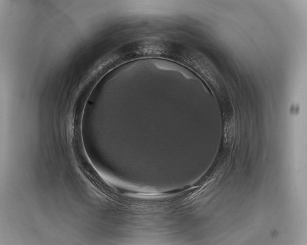 X0000097920722200803141440