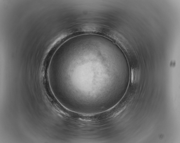 X0000097920723200803141440