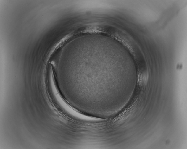 X0000097920724200803141440