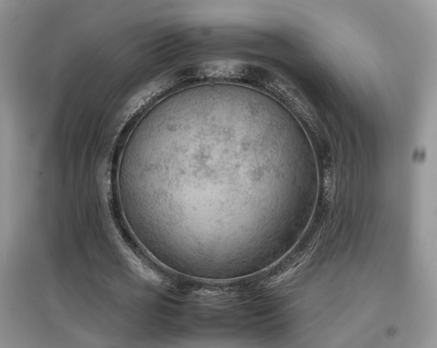 X0000097920725200803141440