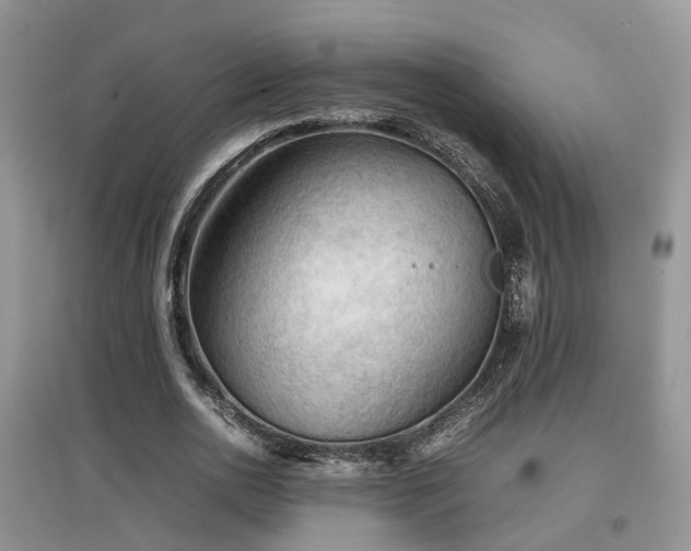 X0000097920726200803141440