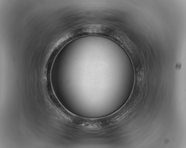 X0000097920727200803141440