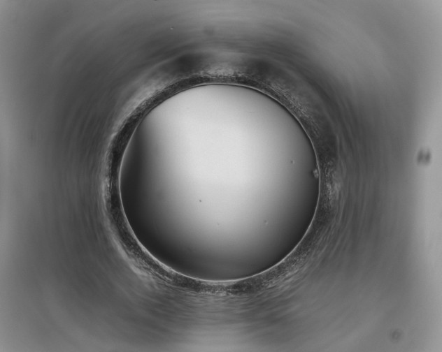 X0000097920728200803141440