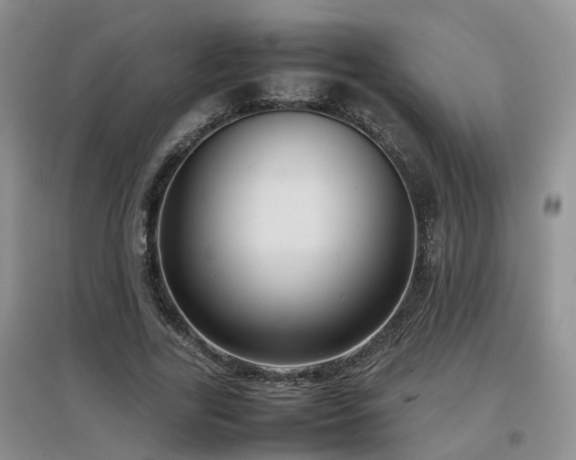 X0000097920731200803141440