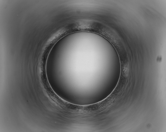 X0000097920732200803141440
