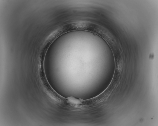 X0000097920733200803141440