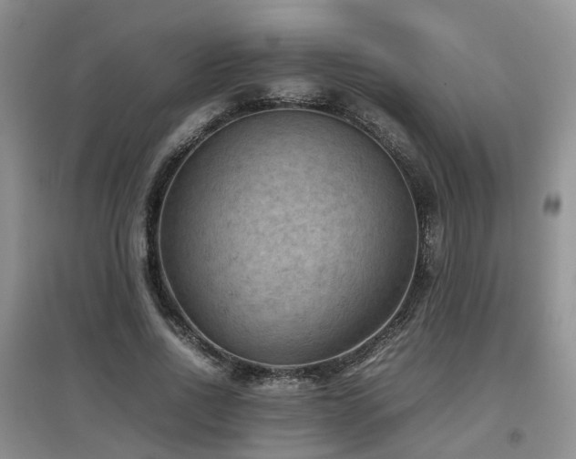 X0000097920734200803141440