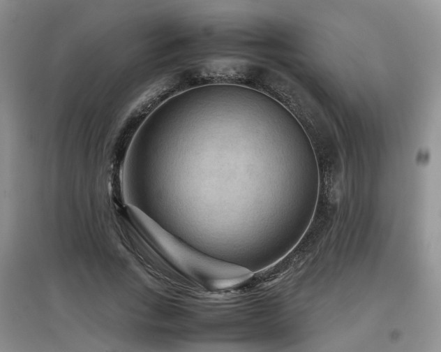 X0000097920735200803141440