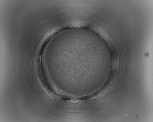 X0000097920736200803141440