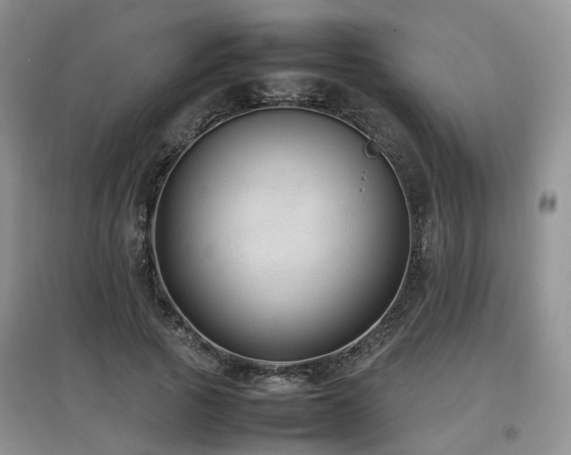 X0000097920737200803141440