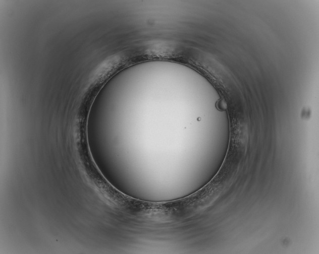 X0000097920738200803141440