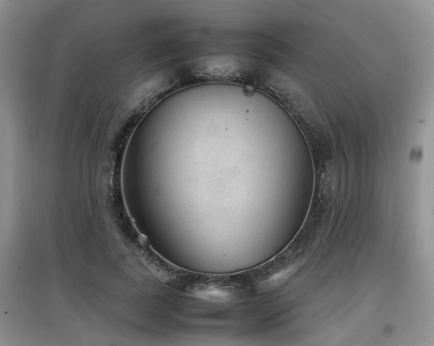 X0000097920739200803141440