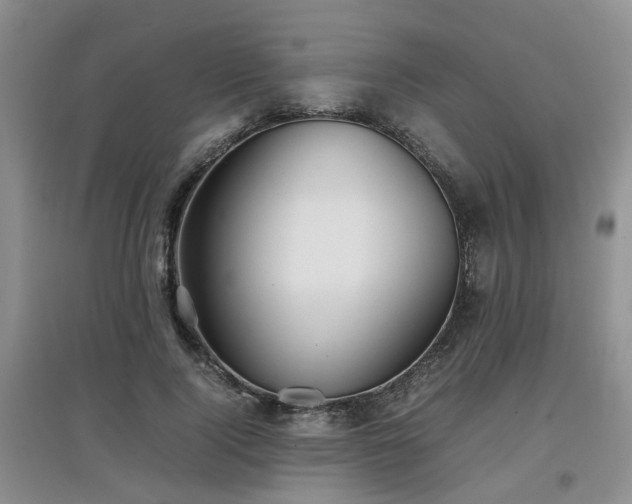 X0000097920740200803141440