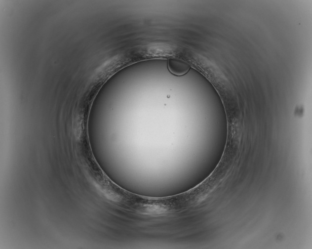 X0000097920741200803141440