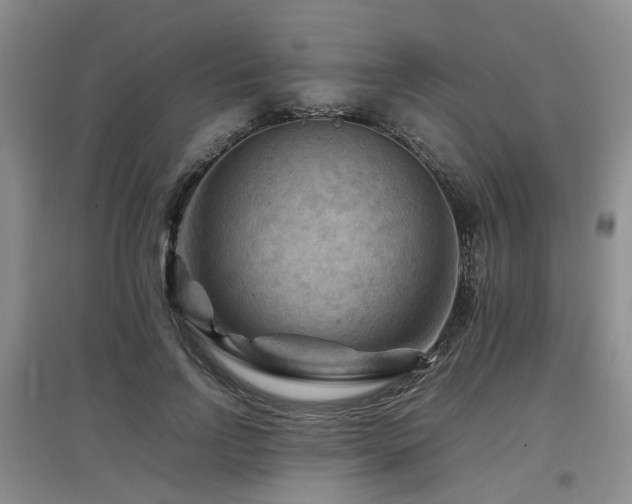 X0000097920742200803141440