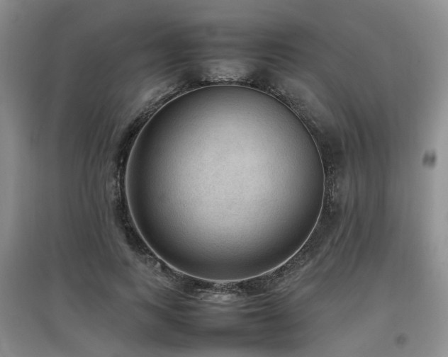 X0000097920743200803141440