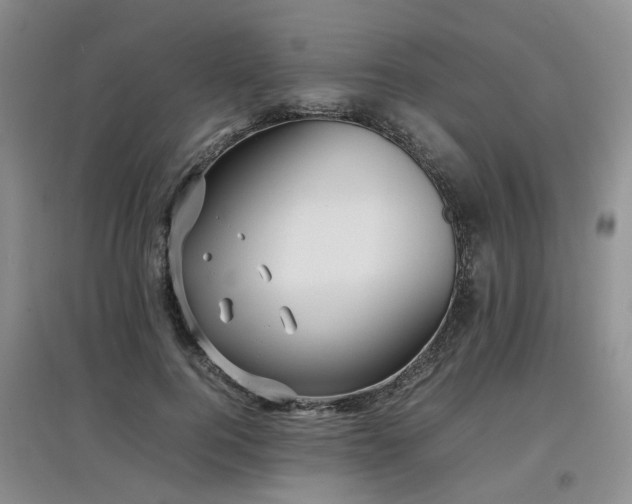 X0000097920744200803141441
