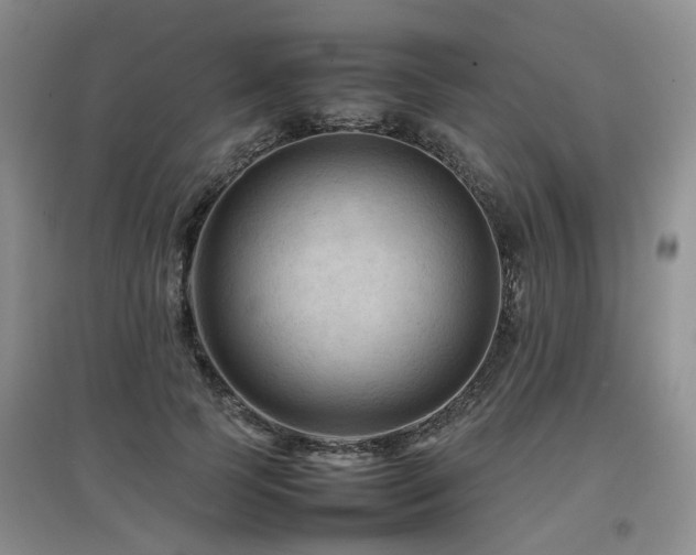 X0000097920745200803141441