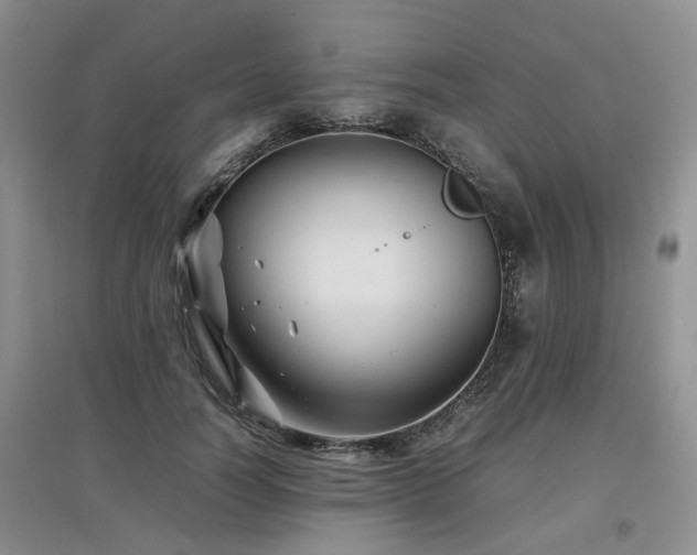 X0000097920746200803141441