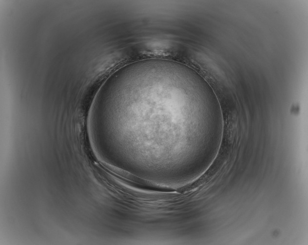 X0000097920747200803141441
