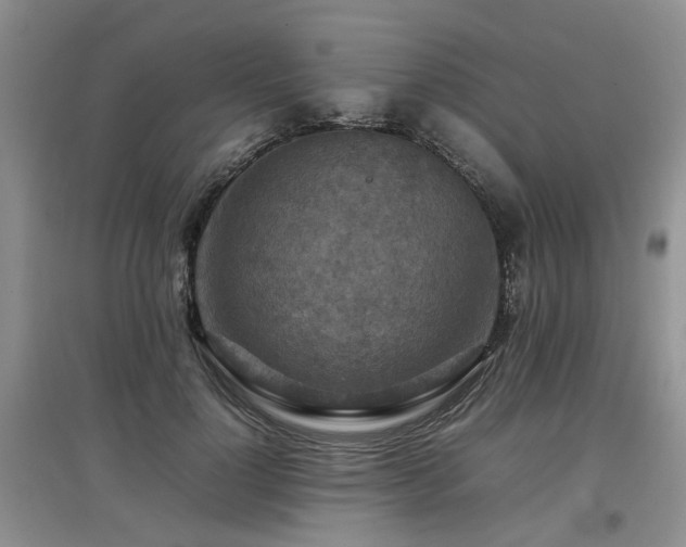 X0000097920748200803141441