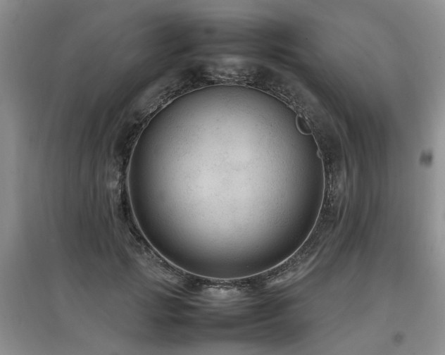 X0000097920749200803141441
