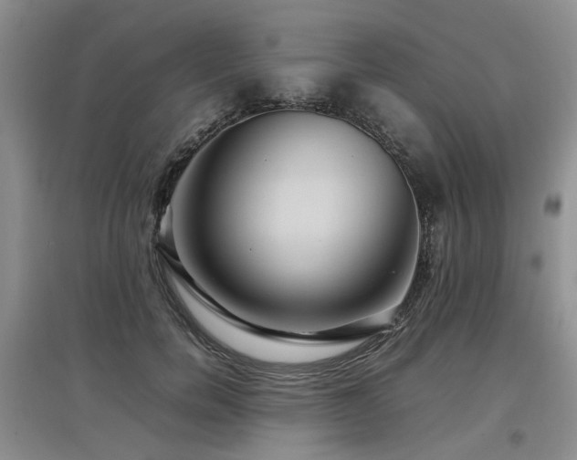 X0000097920750200803141441