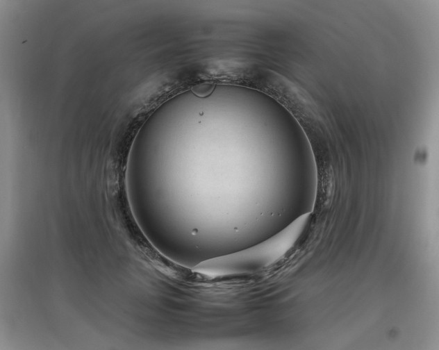 X0000097920751200803141441