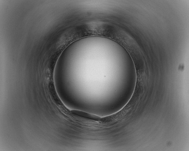 X0000097920752200803141441