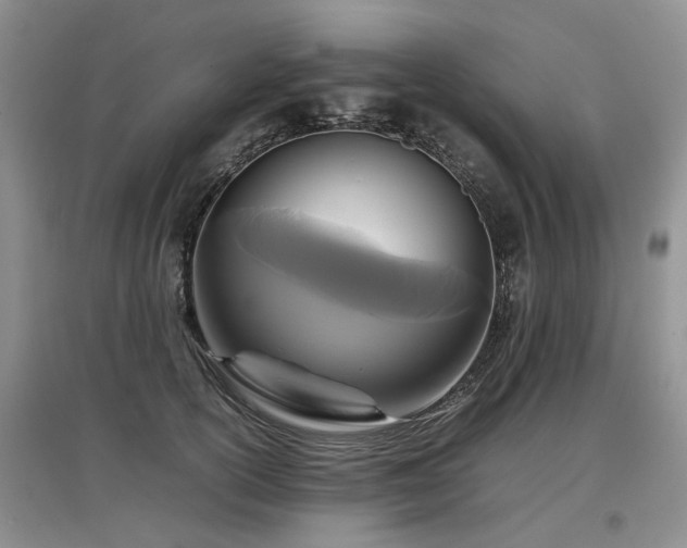 X0000097920754200803141441