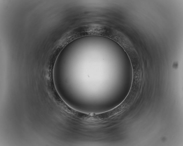 X0000097920755200803141441