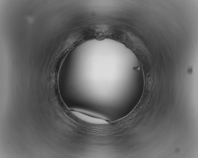 X0000097920756200803141441