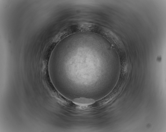 X0000097920759200803141441