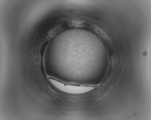 X0000097920760200803141441