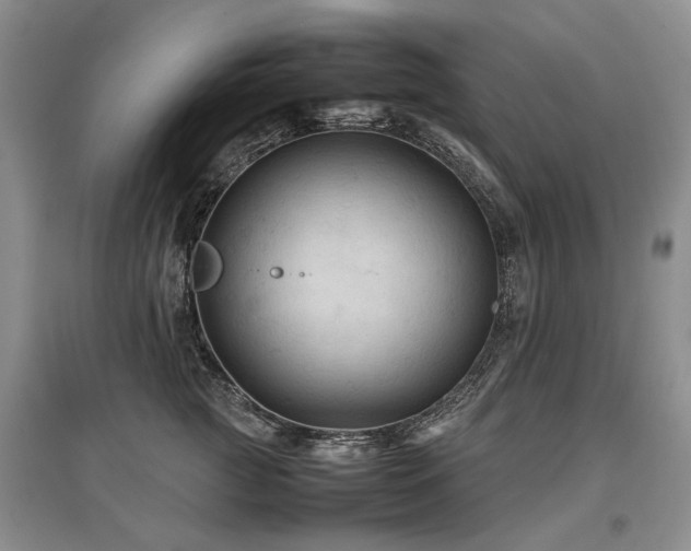 X0000097920761200803141441