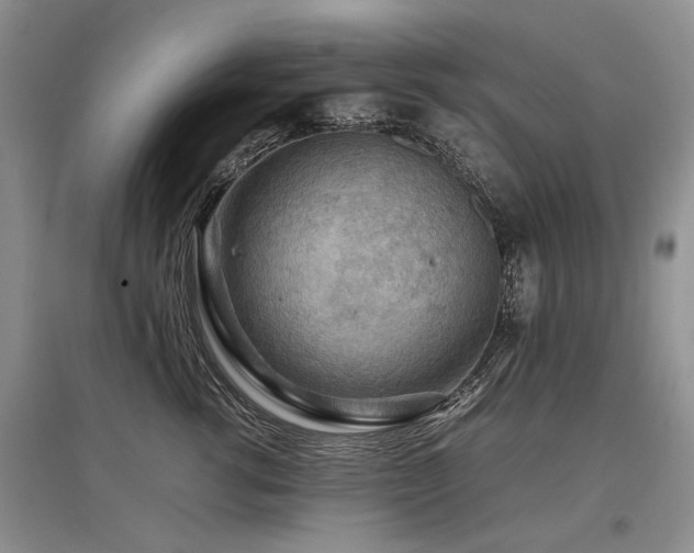 X0000097920762200803141441