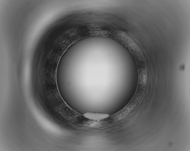 X0000097920764200803141441