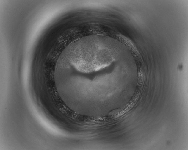 X0000097920765200803141441