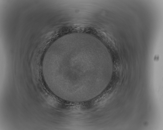 X0000097920769200803141440