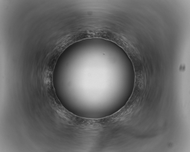 X0000097920770200803141440