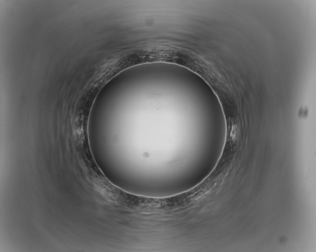 X0000097920771200803141440